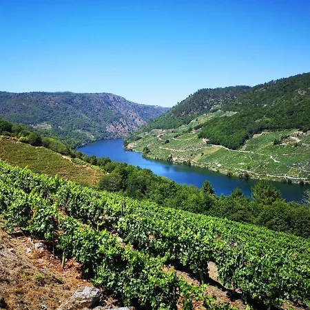 Carballo Alenza,2 * Castro Caldelas